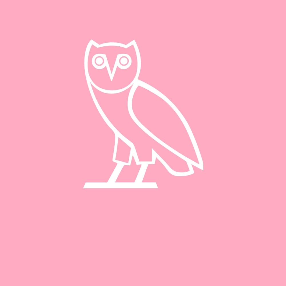 Meet your Posher, Daisy